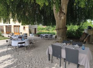 Brunch sous le tilleul