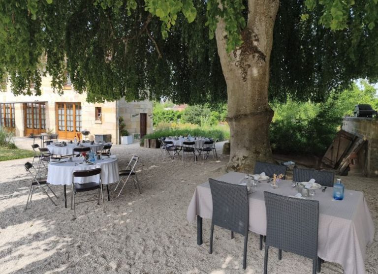 Brunch sous le tilleul